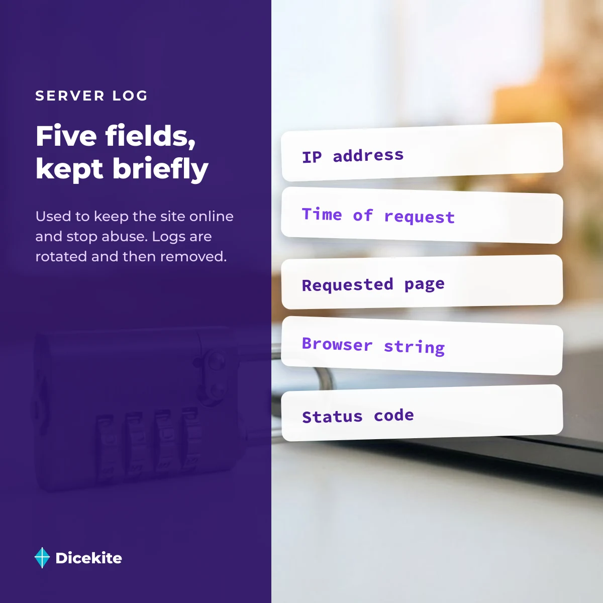 The five server log fields Dicekite keeps briefly: IP address, time, page, browser string and status code